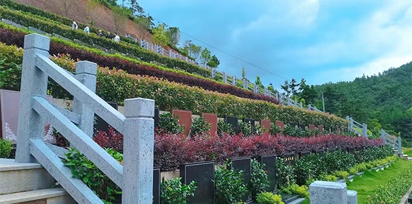 广福园陵-园区环境