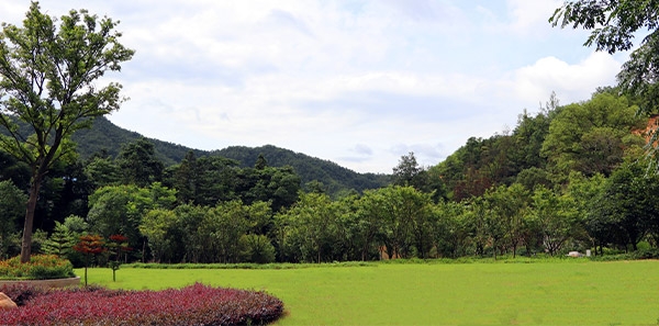 广福园陵-园区环境