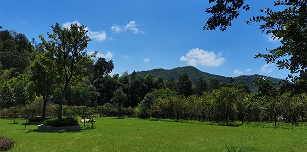 广福园陵-园区环境